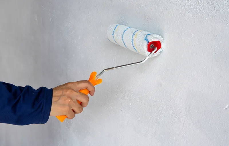 Interior House Painting